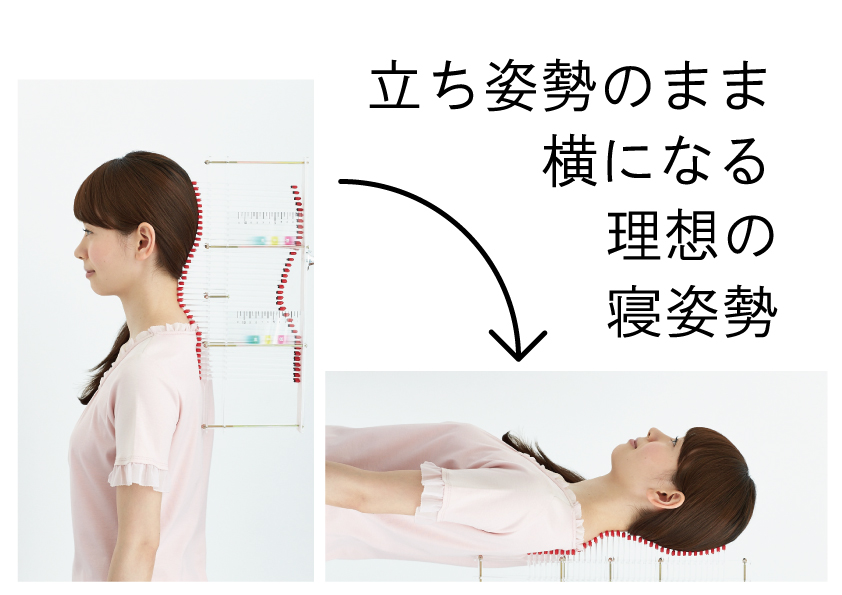 立ち姿勢のまま寝姿勢